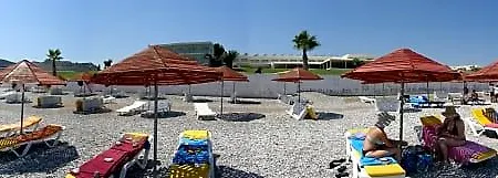 Memphis コリンビア